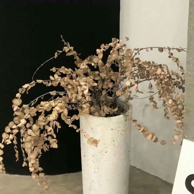 缙云FurryQQ群介绍